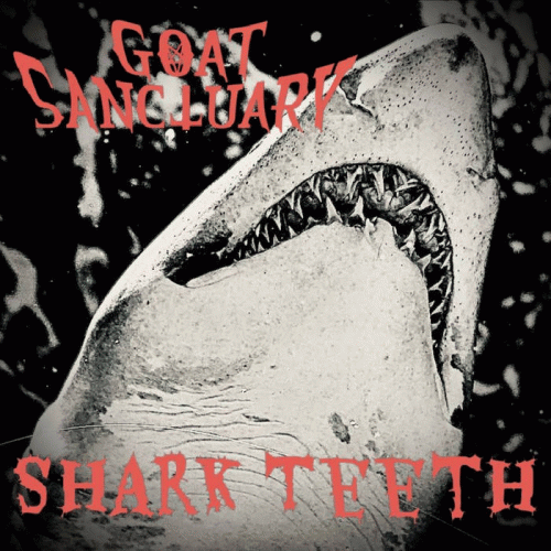 Shark Teeth